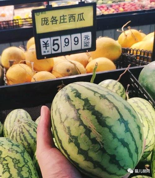 京城吃瓜,揭秘京城美食圈的那些事儿