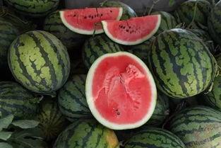 给你100块吃瓜,一场味蕾与金钱的极限对决